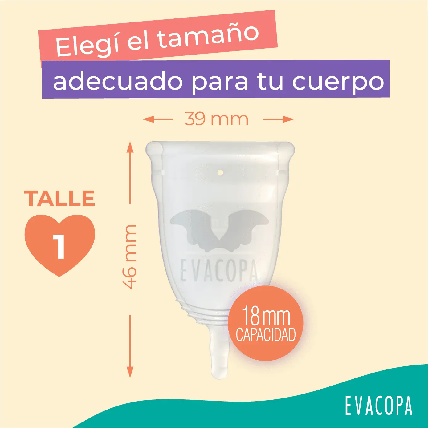 Medidas de la copa menstrual EVACOPA talla 1: 39 mm de diámetro, 46 mm de largo y 18 ml de capacidad